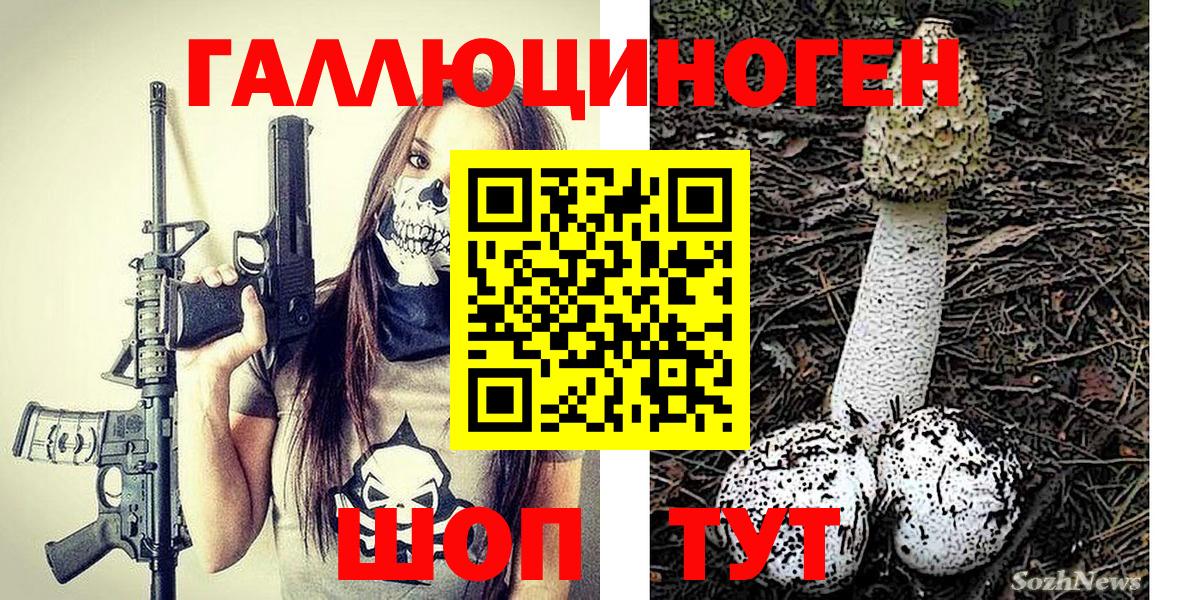 Строитель  Псилоцибиновые грибы GOLDEN TEACHER  Вход с VPN 